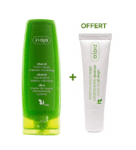 ZIAJA PACK CRÈME MAINS 80ML + BAUME À LÈVRES A L'OLIVE NATUREL 10ML